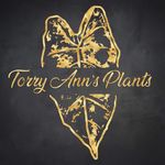 Profile Picture of 𝕋𝕠𝕣𝕣𝕪 𝔸𝕟𝕟‘𝕤 ℙ𝕝𝕒𝕟𝕥𝕤 (@torryannsplants) on Instagram