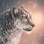 Profile Picture of Lucy Sommer (@noctilucy) on Instagram