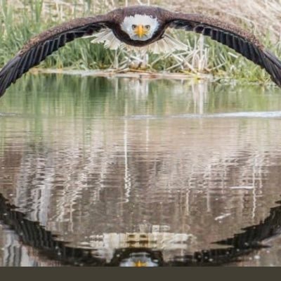 Profile Picture of Joshua Getzinger (@JoshuaGetzinger) on Twitter