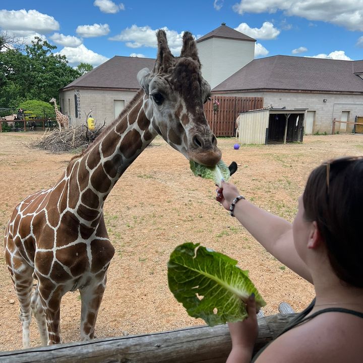 Profile Picture of Abbie Berndt (@abbieberndt) on Tiktok