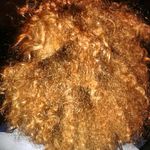 Profile Picture of Vaugnity Samiai (@vaugnity) on Instagram