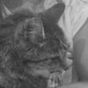 Profile Picture of Paula Douglas (@pauladouglas4531) on Youtube