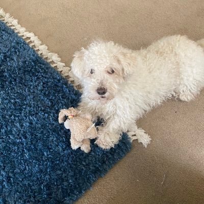 Profile Picture of Kelli Bowles (@KelliBowles8) on Twitter