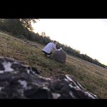 Profile Picture of Steven Pernack (@sf_pr_) on Instagram