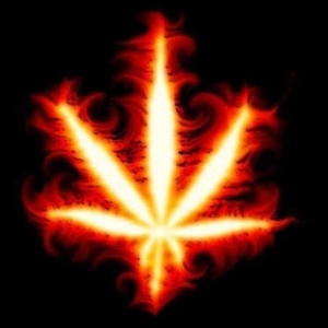 Profile Picture of Alberto Meneses (@232887710) on Myspace