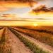 Profile Picture of chris timm (@timmcm) on Pinterest