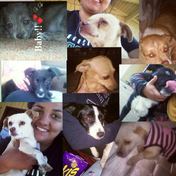 Profile Picture of Tatiana Nuno (@tatinuno) on Poshmark