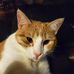 Profile Picture of Cathy Butcher (@cathy.butcher.182) on Facebook