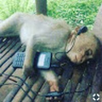 Profile Picture of Michael Rainone (@michael-rainone-4) on Quora