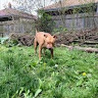 Profile Picture of Kevin Morehouse (@kevin-morehouse-6) on Quora