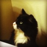 Profile Picture of Caleb vanderwall (@calebvanderwall) on Instagram