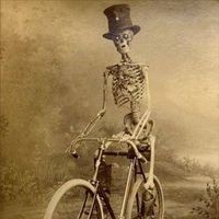 Profile Picture of Michael Cardarelli (@michael-cardarelli-10) on Quora