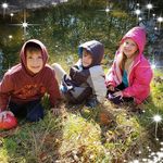 Profile Picture of David Kincaid (@david.kincaid.75873) on Instagram