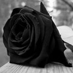 Profile Picture of David Merlet (@dmerlet) on Instagram