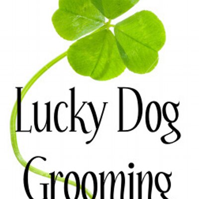 Profile Picture of Tori Douglas (@LuckyDog931) on Twitter