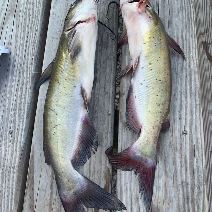 Profile Picture of Richard Myers (@richardmyers18) on Tiktok