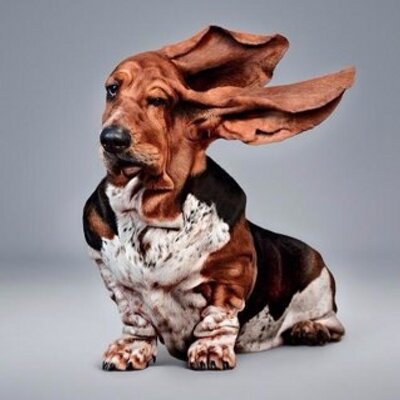 Profile Picture of Mike Aikins (@MikeAikins1) on Twitter