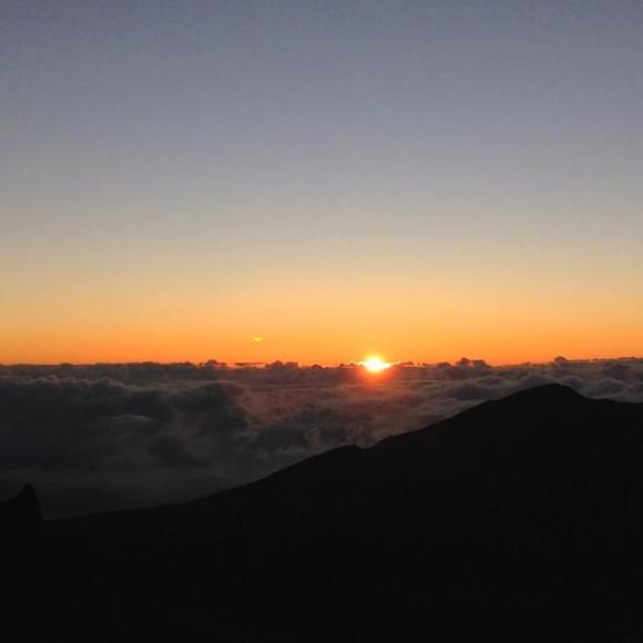 Profile Picture of Andrew Ishmael (@aishmael0901) on Poshmark