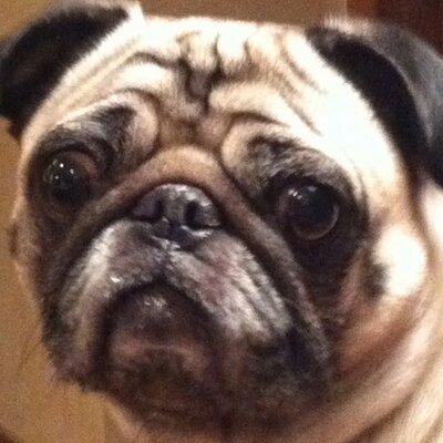 Profile Picture of Karl Bier (@KarlAndrewBier) on Twitter