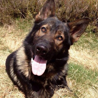 Profile Picture of Kyle Beaudoin (@kylebeaudoin01) on Twitter