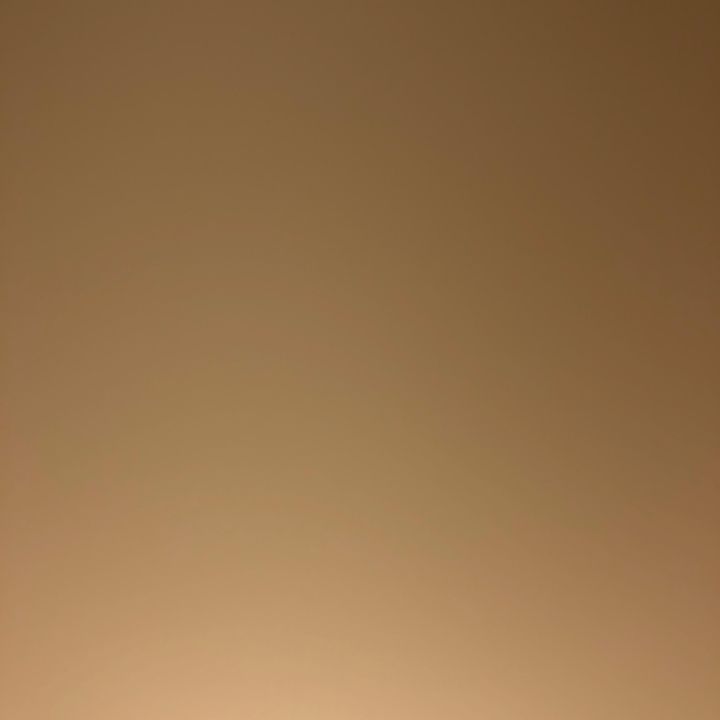Profile Picture of Peter Ducker (@peterducker) on Tiktok