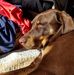 Profile Picture of Brian Poisson (@brian.poisson.790) on Facebook