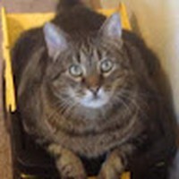 Profile Picture of Kirby Fletcher (@kirby-fletcher-2) on Quora