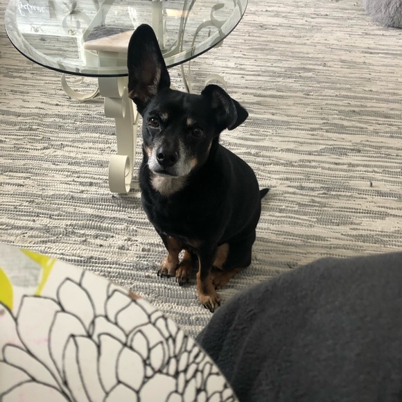 Profile Picture of Rachel Wisniewski (@rachelwisnie689) on Poshmark