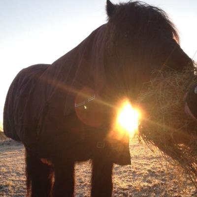 Profile Picture of Ellen Doris (@EllenDoris2) on Twitter