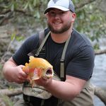 Profile Picture of Dominic Palmer (@dompalmer_20) on Instagram