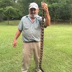 Carl Carcaba - Facebook Profile Picture of Carl Carcaba (@carl.carcaba) on Facebook