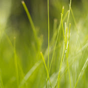 Kimberly Jansen - Youtube Profile Picture of Kimberly Jansen (@kimberlyjansen473) on Youtube