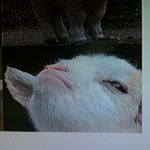 Profile Picture of dave menard (@davemenard_) on Instagram