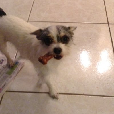 Lucylucy - Twitter Profile Picture of Lucylucy (@lucyirace_lucy) on Twitter