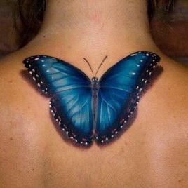 Profile Picture of Deborah Schrader (@imhappy41098) on Twitter