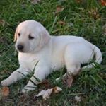 Profile Picture of Lisa Greer and jessica greer (@lisa.greer74) on Instagram