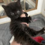 Profile Picture of Aurora Cantrell (@aurora.cantrell.54) on Facebook