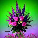 Profile Picture of Dashan Dashien (@Dashan-Dashien) on Facebook