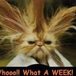 Profile Picture of Tanya Fleming Buttner (@buttner_6) on Instagram