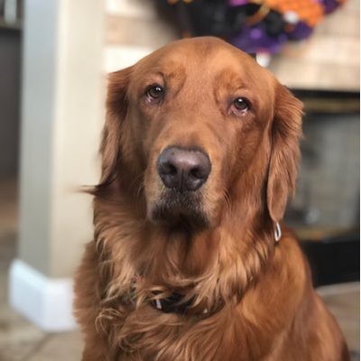 Profile Picture of Johnndoee (@OrienteJohn) on Twitter