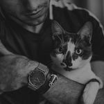 Profile Picture of bahram__nozad (@bahram__nozad) on Instagram