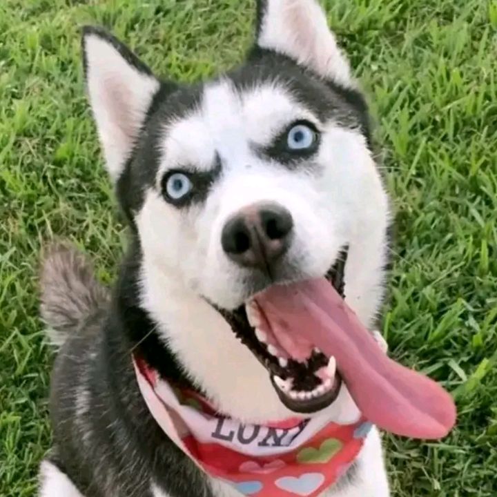 Profile Picture of Beasley (@@beasleysfamily) on Tiktok