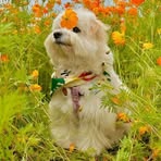 Profile Picture of Zeng Weiming (@zengweiming.2) on Facebook