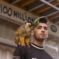 Profile Picture of Mali Kallen (@malikallen423) on Pinterest