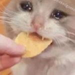 Profile Picture of Thomas Makutynowicz (@thomasmakutynowicz) on Instagram