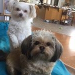 Profile Picture of Janet Dellow-Bubel (@jandellow) on Instagram