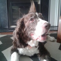 Profile Picture of Christopher Spencer (@christopher-spencer-127) on Quora