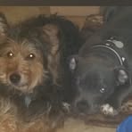 Profile Picture of Diana Schreiber (@Diana-Schreiber) on Facebook