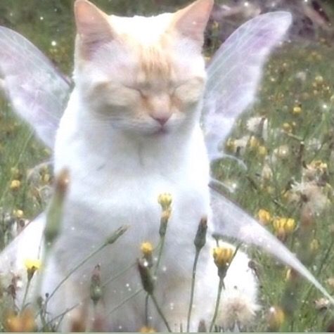 Profile Picture of Pearl & Clay! (@p3arlandcl4y) on Tiktok