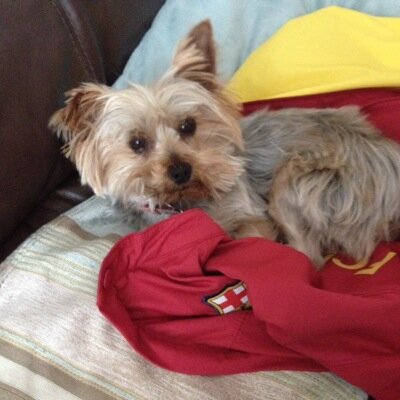 Antoinette Garry - Twitter Profile Picture of Antoinette Garry (@@aegarry) on Twitter